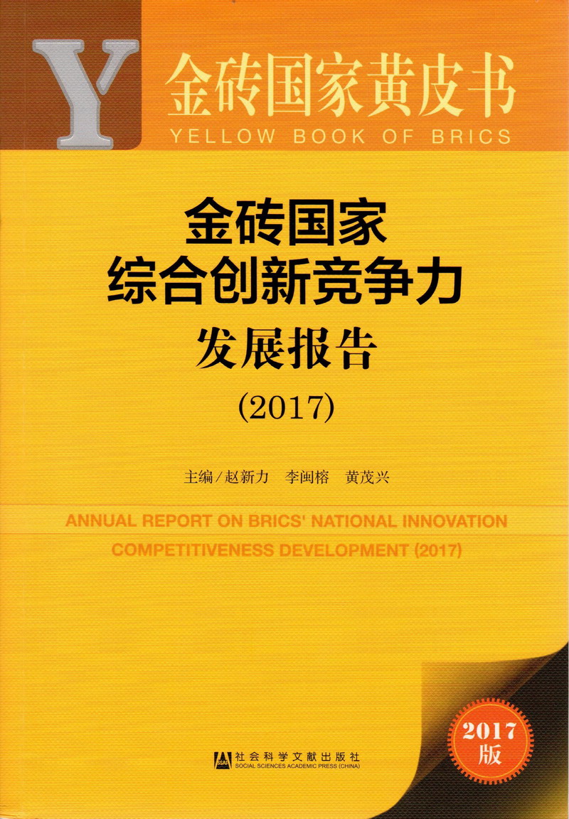 小骚逼下面被大鸡巴干的全是水视频金砖国家综合创新竞争力发展报告（2017）